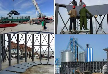 Sunflower Seed Spiral Steel Silo / Galvanized Soybean Farm Feed Storage Bins